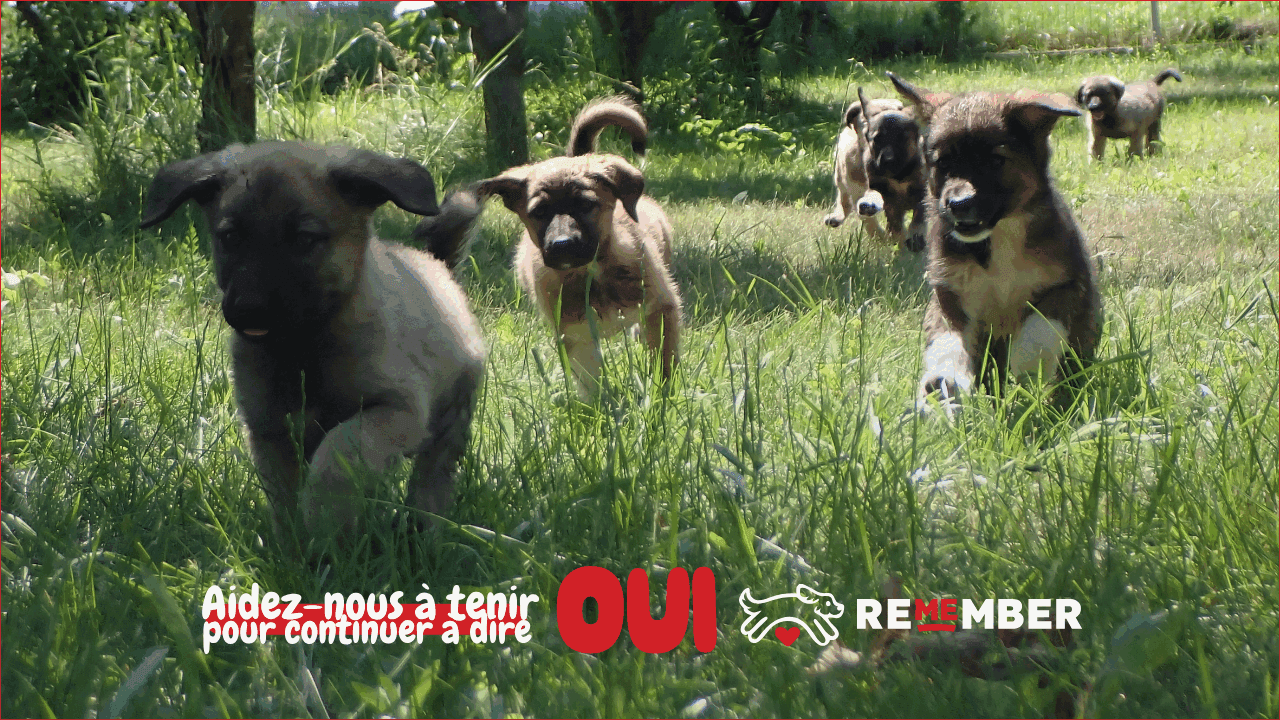 Aidez-nous à tenir pour continuer à dire OUI