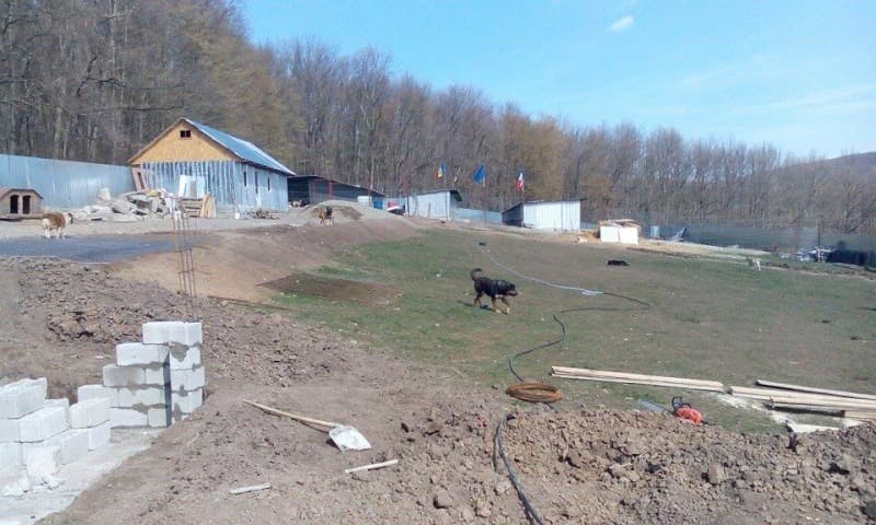 Le refuge prend forme, année après année