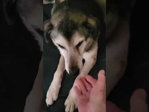 Hephaïstos en vidéo 7