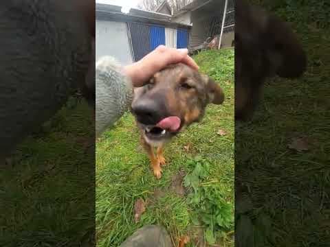 Baps en vidéo 3