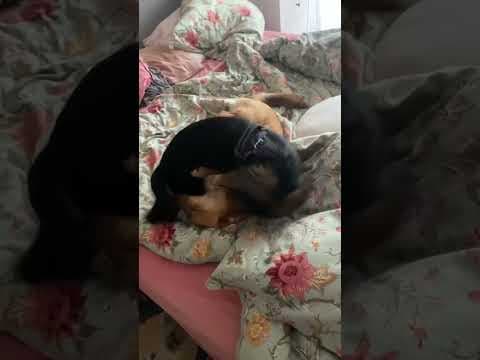 Pia en vidéo 6