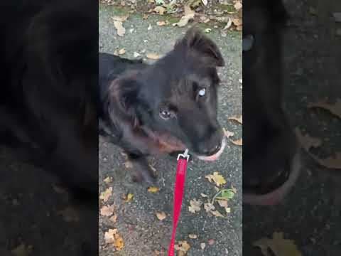 Wanda en vidéo 2