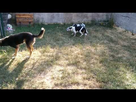 Copernica en vidéo 12