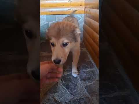Mirela en vidéo 1