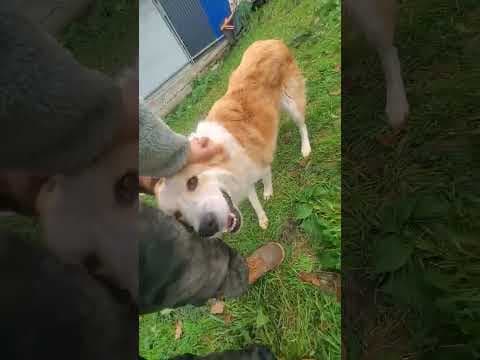 Zuko en vidéo 6