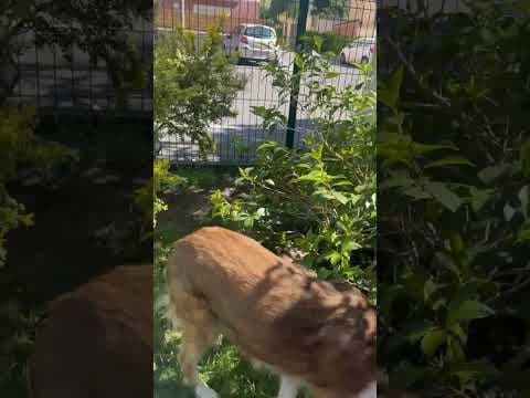Terra en vidéo 5