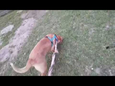 Casie en vidéo 7
