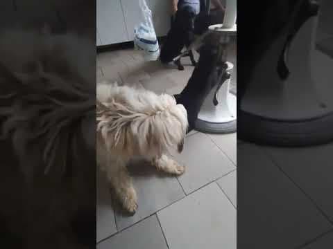 Sabri en vidéo 1