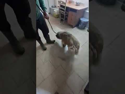 Selune en vidéo 3