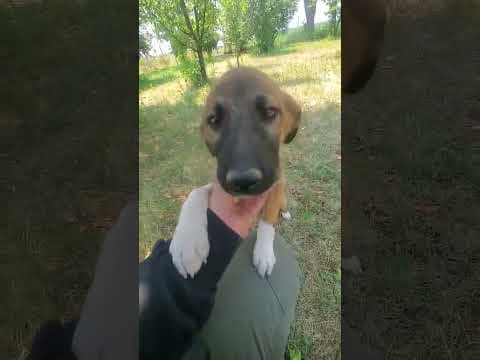 Milva en vidéo 1