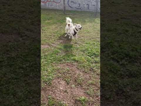 Elio en vidéo 2