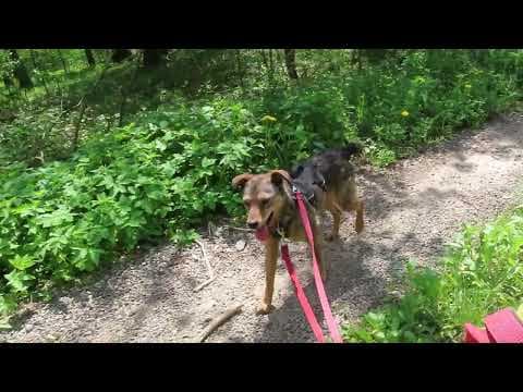 Mouchou en vidéo 3