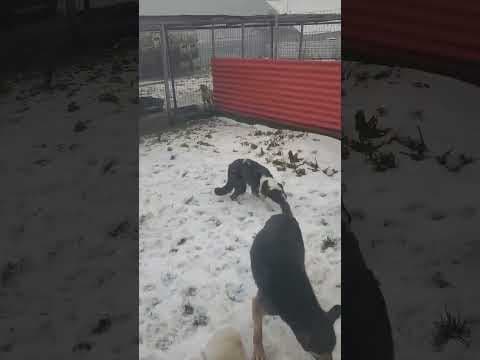 Mira en vidéo 1