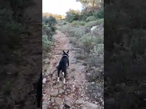 Kenjy en vidéo 4
