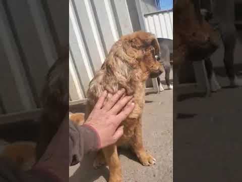 Bluette en vidéo 2