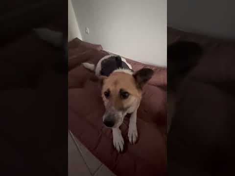 Velora en vidéo 2