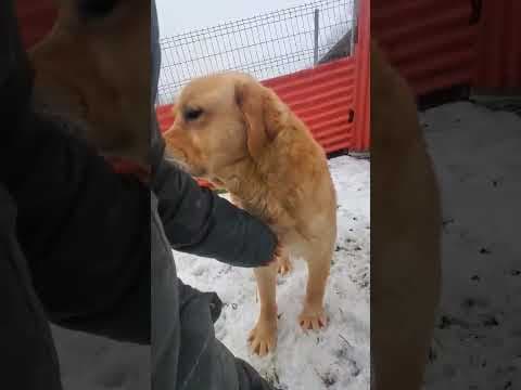 Spike en vidéo 1