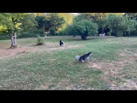 Kovou en vidéo 5