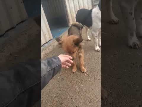 Salma en vidéo 2