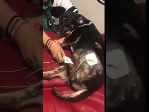 Lisette en vidéo 11