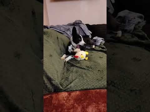 Kenjy en vidéo 6