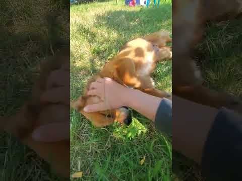 Kiddy en vidéo 1
