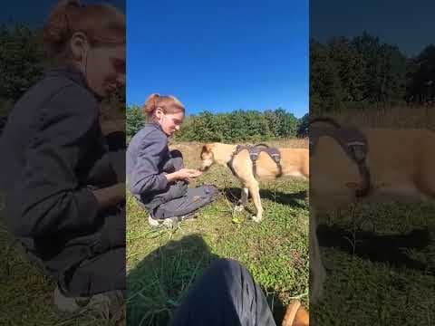 Thalie en vidéo 3