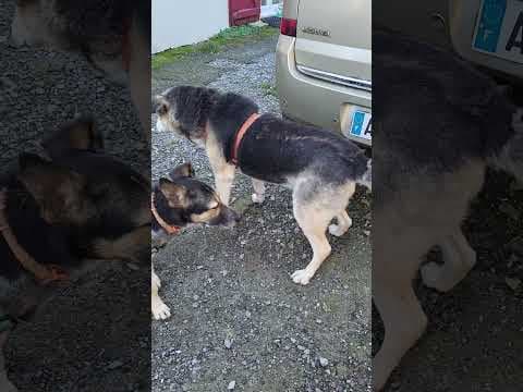 Hephaïstos en vidéo 6
