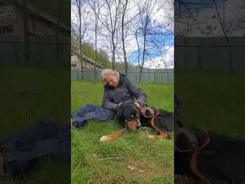 Attikus en vidéo 2