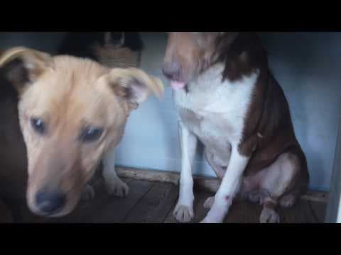 Eragon en vidéo 1