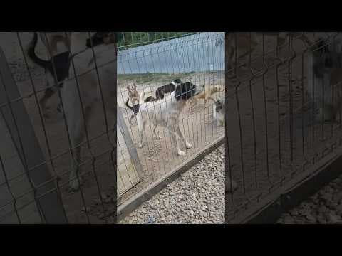 September en vidéo 2