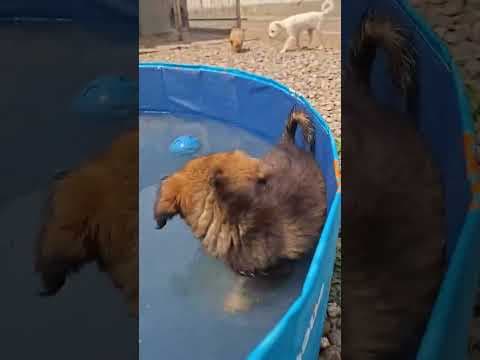 Svetlina en vidéo 1
