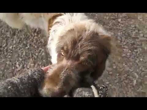 Burton en vidéo 5