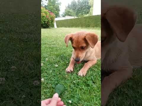 Kala en vidéo 3