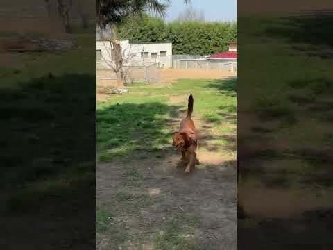 Kenjy en vidéo 10