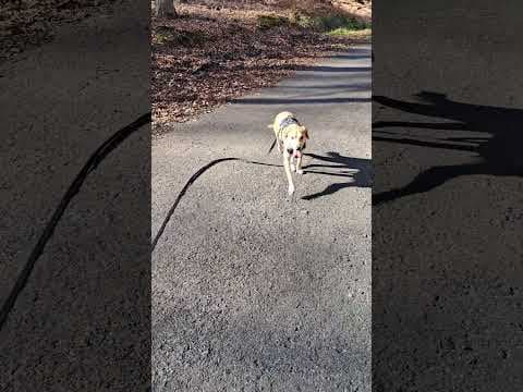 Buckley en vidéo 4