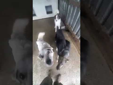 Yami en vidéo 2