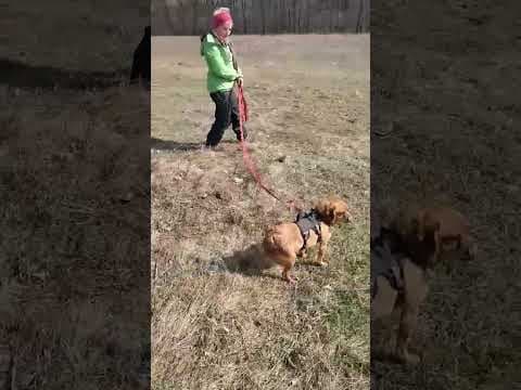 Ellis en vidéo 1