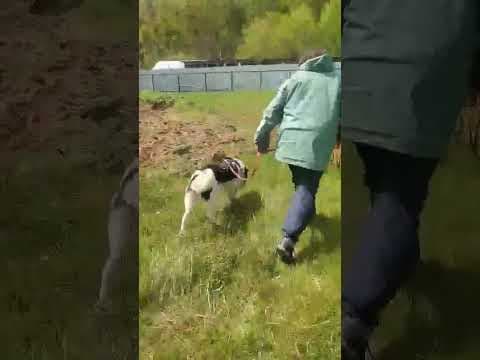 Iskaya en vidéo 3