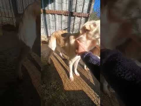 Hyperion en vidéo 2