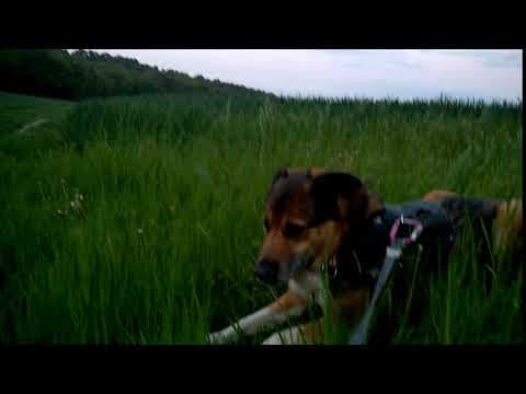Monsieur en vidéo 10