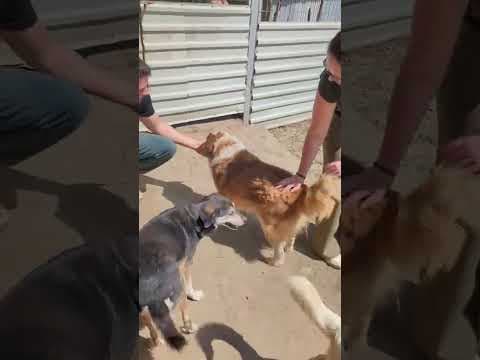 Anhour en vidéo 4