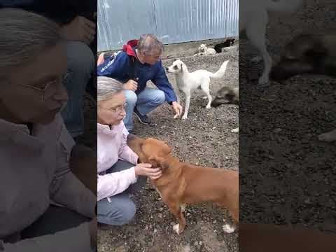 Yellow en vidéo 9