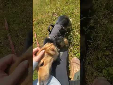 Sihane en vidéo 1