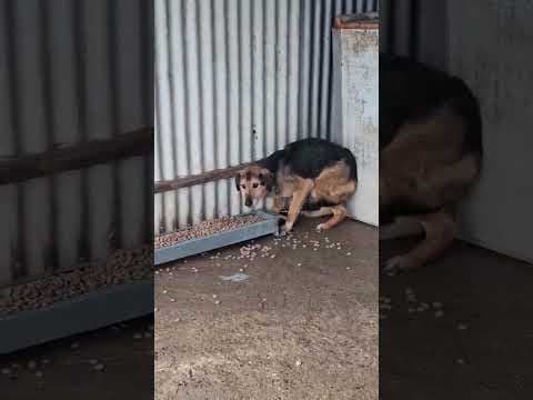 Fantine en vidéo 4