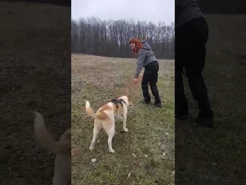 Vartan en vidéo 4