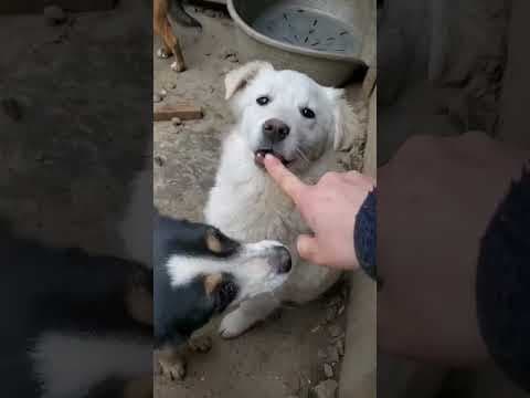 Rodri en vidéo 1