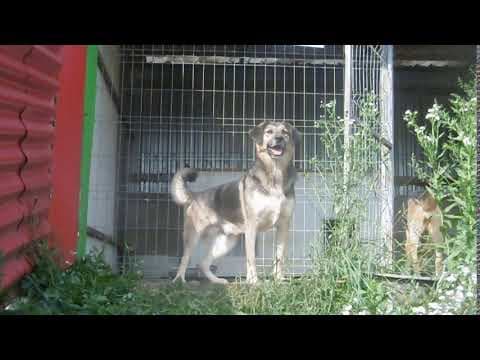 Narco en vidéo 2