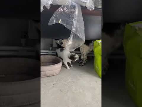 Deltyva en vidéo 3