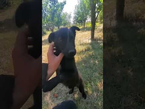 Oksana en vidéo 1